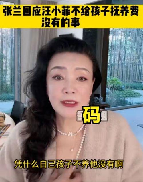爆料张兰当妈妈视频,揭秘豪门背后的温馨瞬间 第2张 爆料张兰当妈妈视频,揭秘豪门背后的温馨瞬间 第2张